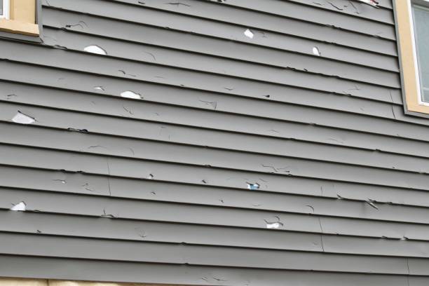 Best Recycling Services for Junk  in Suncoast Estates, FL